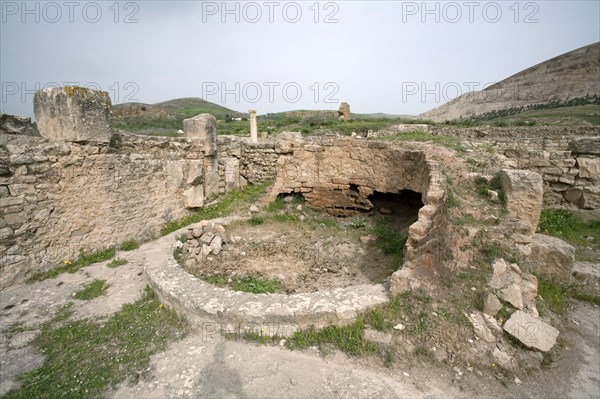 The House of the Hunting Scene, Bulla Regia, Tunisia. Artist: Samuel Magal