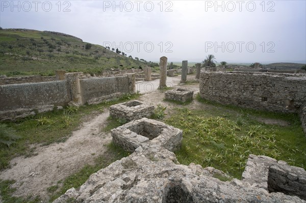 The House of the Fishing Scene at Bulla Regia, Tunisia. Artist: Samuel Magal