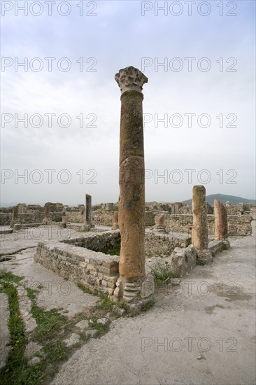 The House of the Hunting Scene, Bulla Regia, Tunisia. Artist: Samuel Magal