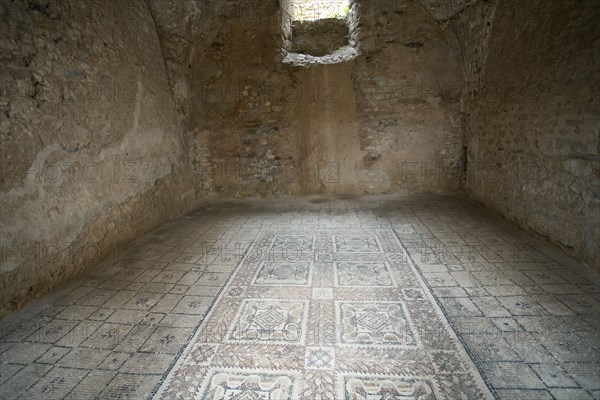 The House of the Hunting Scene, Bulla Regia, Tunisia. Artist: Samuel Magal