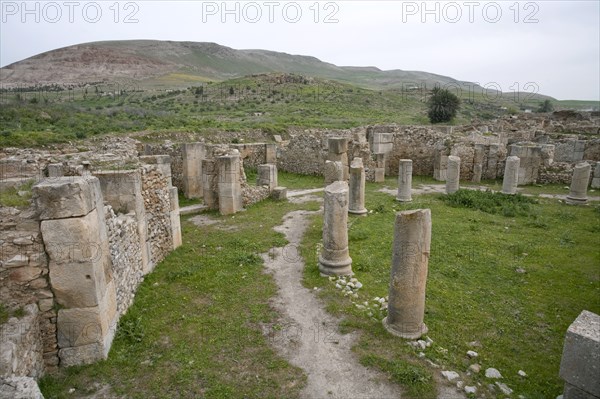 The Monumental Esplanade at Bulla Regia, Tunisia. Artist: Samuel Magal