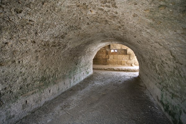 The Baths of Antoninus Pius at Carthage, Tunisia. Artist: Samuel Magal