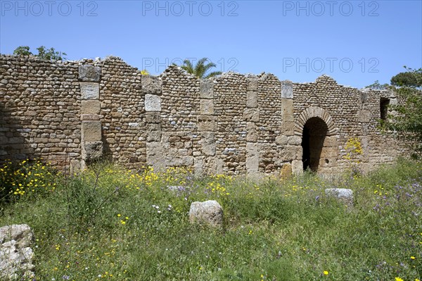 A Roman villa, Carthage, Tunisia. Artist: Samuel Magal