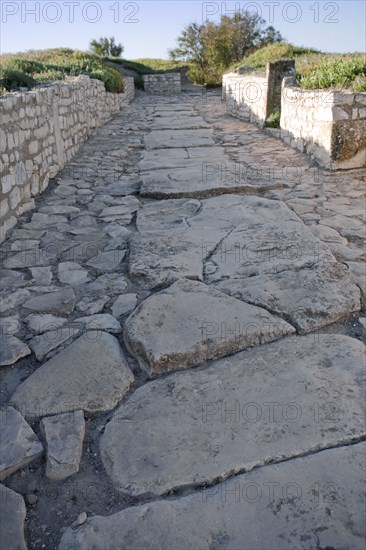 A road in Mactaris, Tunisia. Artist: Samuel Magal