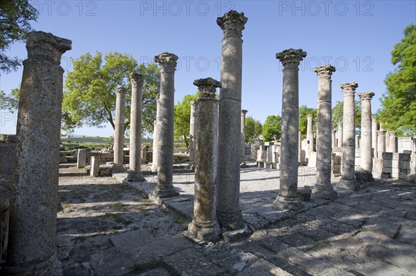 The Schola of the Juvenes, Mactaris, Tunisia. Artist: Samuel Magal