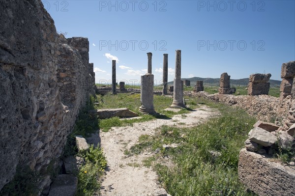 The Summer Baths at Thuburbo Majus, Tunisia. Artist: Samuel Magal