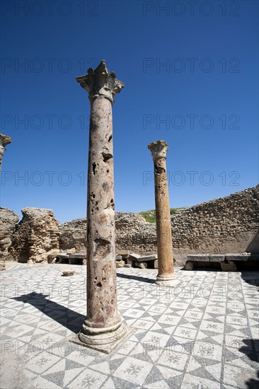 The Winter Baths at Thuburbo Majus, Tunisia. Artist: Samuel Magal