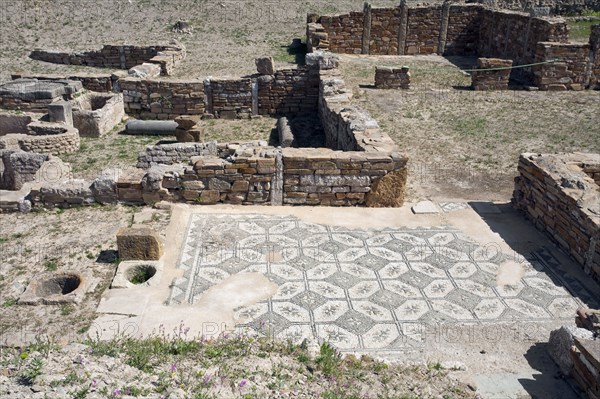 The House of the Dressed Animals, Thuburbo Maius, Tunisia. Artist: Samuel Magal