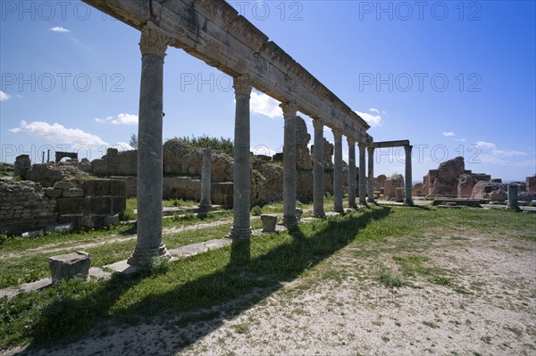 The Palaestra of the Petronii, Thuburbo Majus, Tunisia. Artist: Samuel Magal