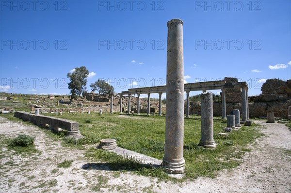 The Palaestra of the Petronii, Thuburbo Majus, Tunisia. Artist: Samuel Magal