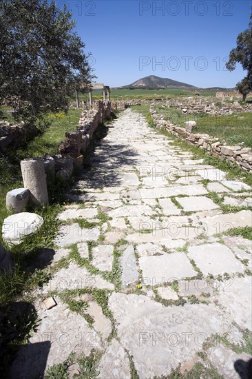 A road in Thuburbo Majus, Tunisia. Artist: Samuel Magal