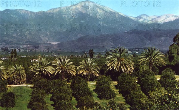 Orange groves and mountains, California, USA, 1953. Artist: Unknown