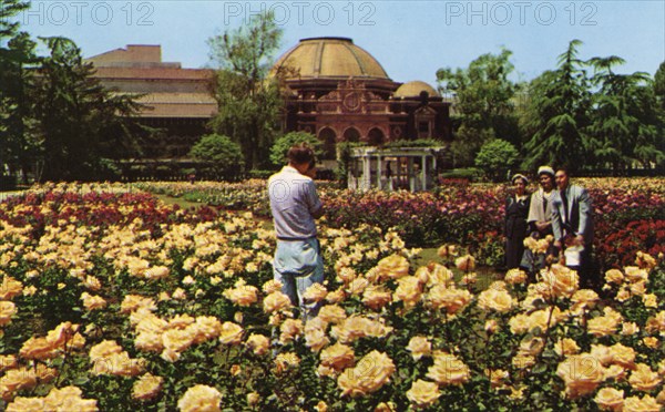 Los Angeles County Museum of Science and Art, Exposition Park, Los Angeles, California, USA, 1956. Artist: Unknown