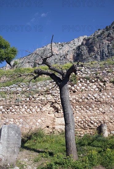 The walls of Delphi, Greece. Artist: Samuel Magal