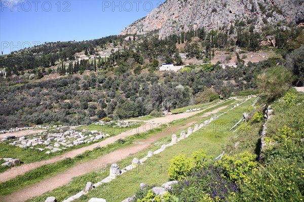 The gymnasium at Delphi, Greece. Artist: Samuel Magal