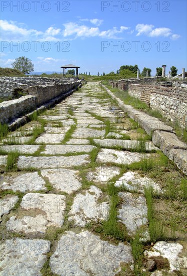 Cardo Maximus, Dion, Greece. Artist: Samuel Magal