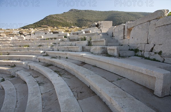 The odeon of the asclepeion at Messene, Greece. Artist: Samuel Magal