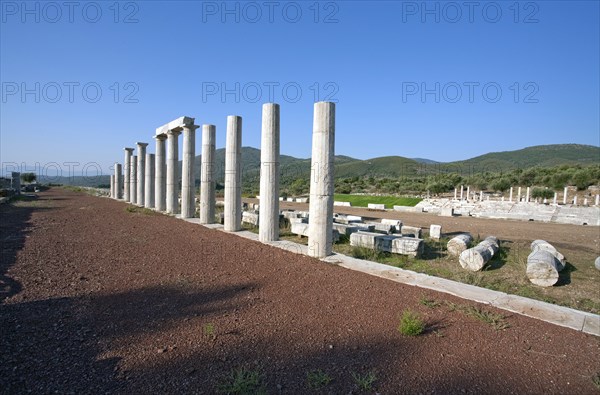 Stoas of the gymnasium at Messene, Greece. Artist: Samuel Magal