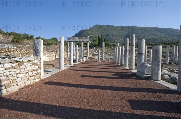 The gymnasium at Messene, Greece. Artist: Samuel Magal