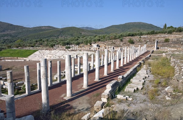 Stoas of the gymnasium at Messene, Greece. Artist: Samuel Magal