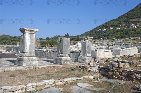 The East Propylon at Messene, Greece. Artist: Samuel Magal