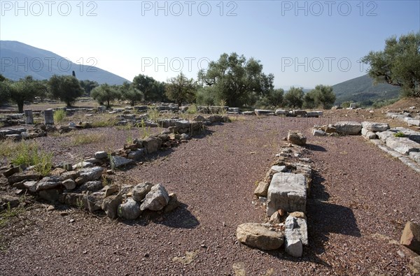 The Room of the Archives at Messene, Greece. Artist: Samuel Magal