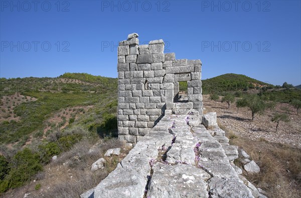 The walls of Messene, Greece. Artist: Samuel Magal