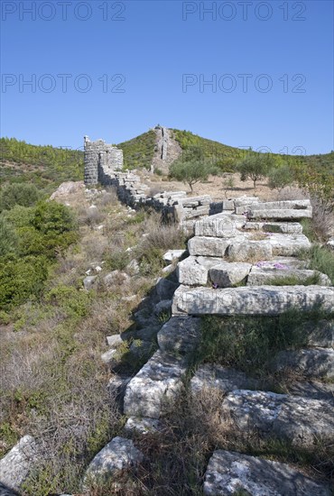 The walls of Messene, Greece. Artist: Samuel Magal