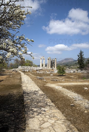 The Temple of Zeus at Nemea, Greece. Artist: Samuel Magal