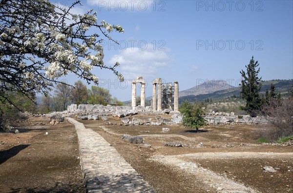 The Temple of Zeus at Nemea, Greece. Artist: Samuel Magal