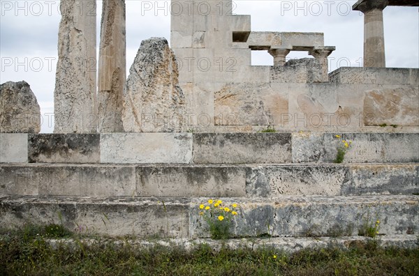 The Temple of Aphaea, Aegina, Greece. Artist: Samuel Magal