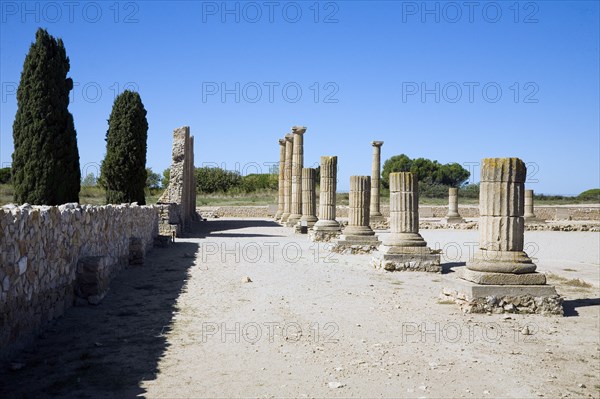 The forum in the Roman city of Emporiae, Empuries, Spain, 2007. Artist: Samuel Magal