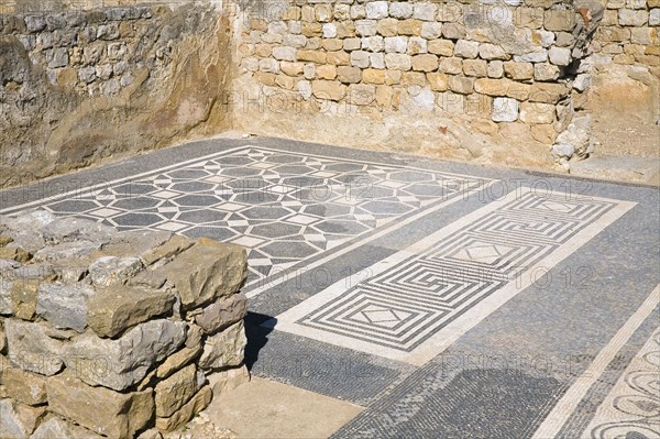 The mosaic floor of House I in the Roman city of Emporiae, Empuries, Spain, 2007. Artist: Samuel Magal