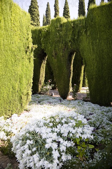 The Palacio de Generalife, Alhambra, Granada, Spain, 2007. Artist: Samuel Magal