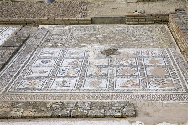 A mosaic in House 2, Italica, Spain, 2007. Artist: Samuel Magal