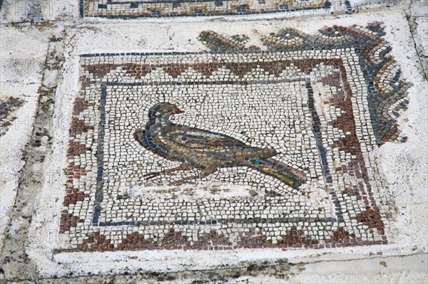 A mosaic in House 4, Italica, Spain, 2007. Artist: Samuel Magal