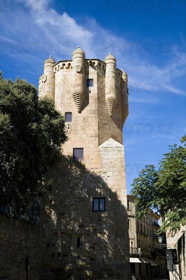 Clavero Tower, Palace of Sotomayor, Salamanca, Spain, 2007. Artist: Samuel Magal