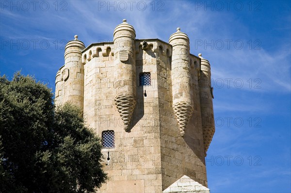 Clavero Tower, Palace of Sotomayor, Salamanca, Spain, 2007. Artist: Samuel Magal