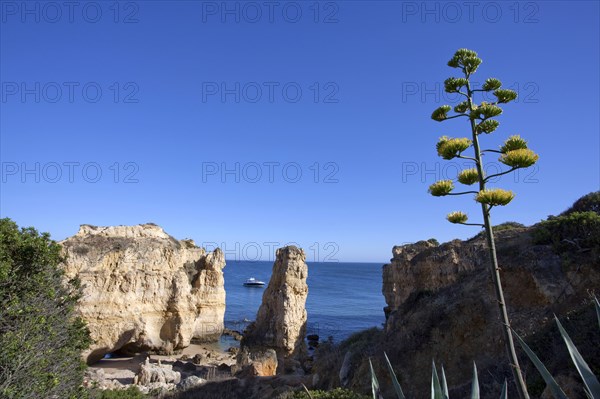 Coastal view, Algarve, Portugal, 2009. Artist: Samuel Magal