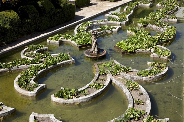 Pond garden, Garden of the Episcopal Palace, Castelo Branco, Portugal, 2009.  Artist: Samuel Magal