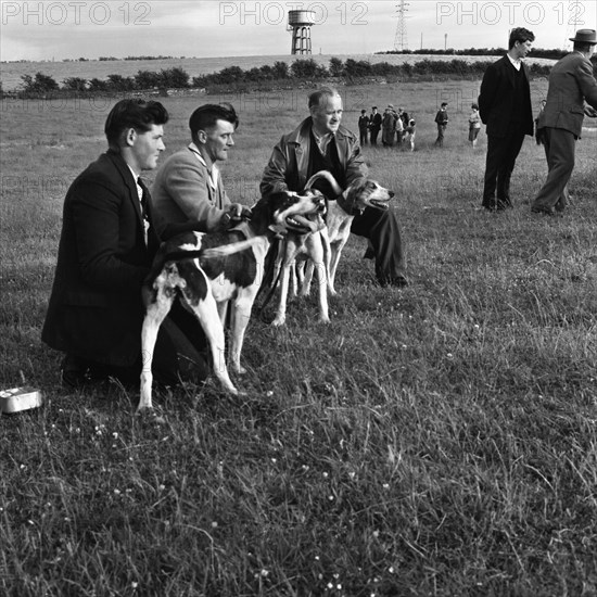 Hound Trailing, one of Cumbria's oldest and most popular sports, Keswick, 2nd July 1962. Artist: Michael Walters