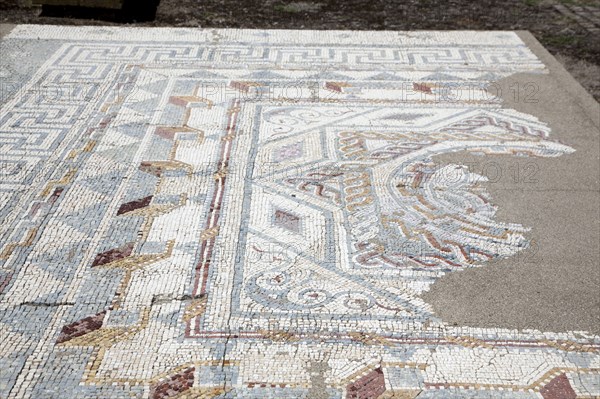 A mosaic floor in the House of the Swastika Cross, Conimbriga, Portugal, 2009. Artist: Samuel Magal