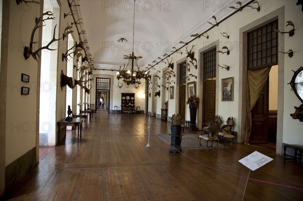 The hunting trophy room in the Mafra National Palace (Palacio de Mafra), Mafra, Portugal, 2009. Artist: Samuel Magal