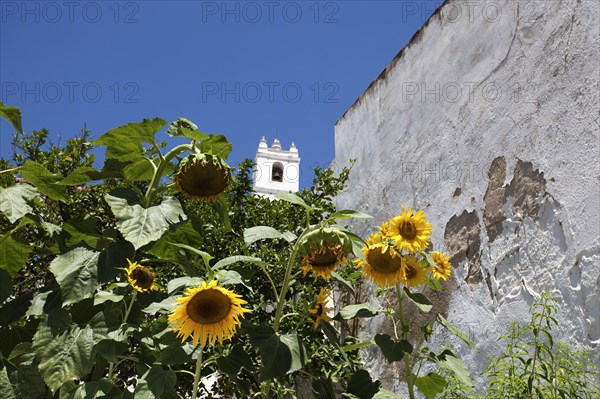 The bell tower of the main church (igreja matriz) of Mertola, Portugal, 2009. Artist: Samuel Magal