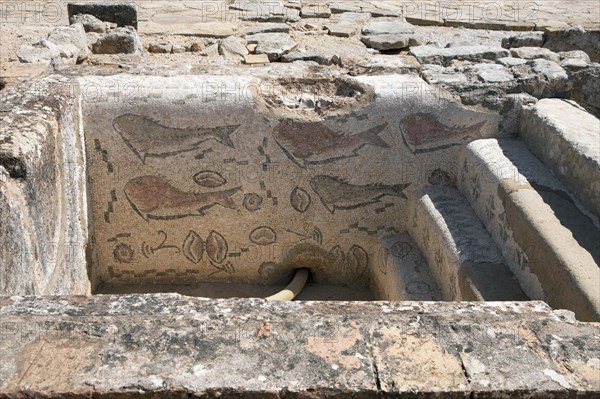 A frigidarium with fish mosaics in the public baths of Milreu, Portugal, 2009. Artist: Samuel Magal