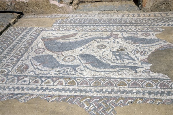 A fish mosaic in the east side of the peristylium, Milreu, Portugal, 2009. Artist: Samuel Magal