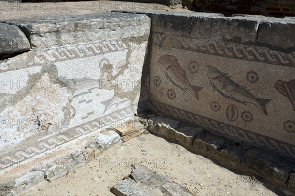 A fish mosaic in the Roman ruins at Milreu, Portugal, 2009. Artist: Samuel Magal