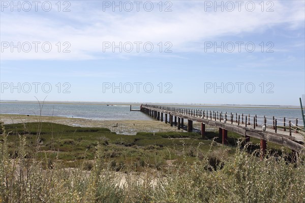 Olhao Bird Reserve, Olhao, Portugal, 2009. Artist: Samuel Magal