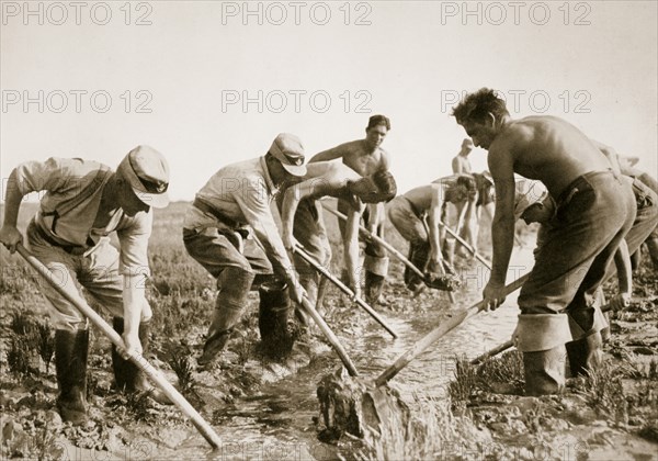 The Labour Service at work, Germany, 1936. Artist: Unknown