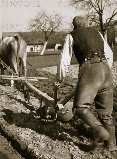 A farmer at work, ploughing a field, Germany, 1936. Artist: Unknown